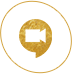 video-call-gold-icon